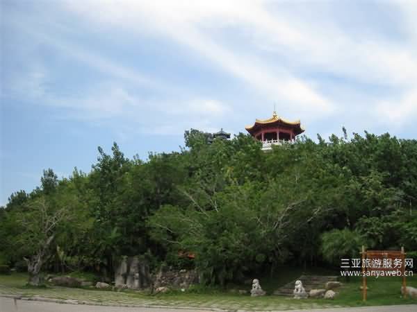 伦海海鲜_海鲜图片大全_海鲜疙瘩汤(3)