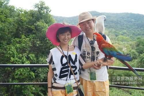 文昌鸡海鲜火锅_广州文昌鸡_海鲜美食图片(2)